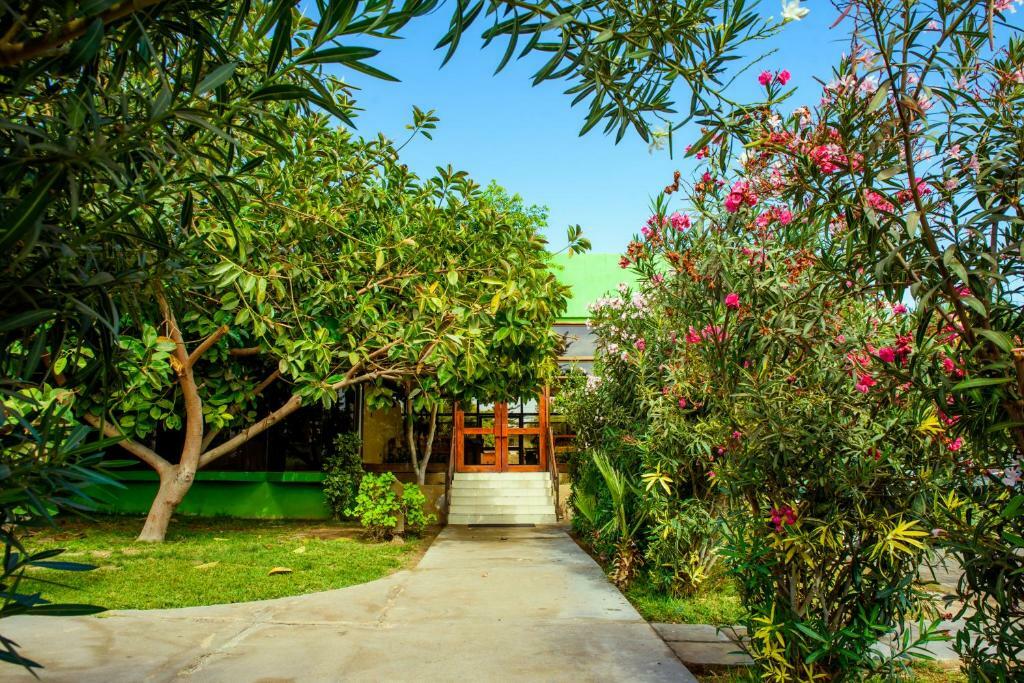 Hotel Del Valle Azapa Arica Eksteriør bilde